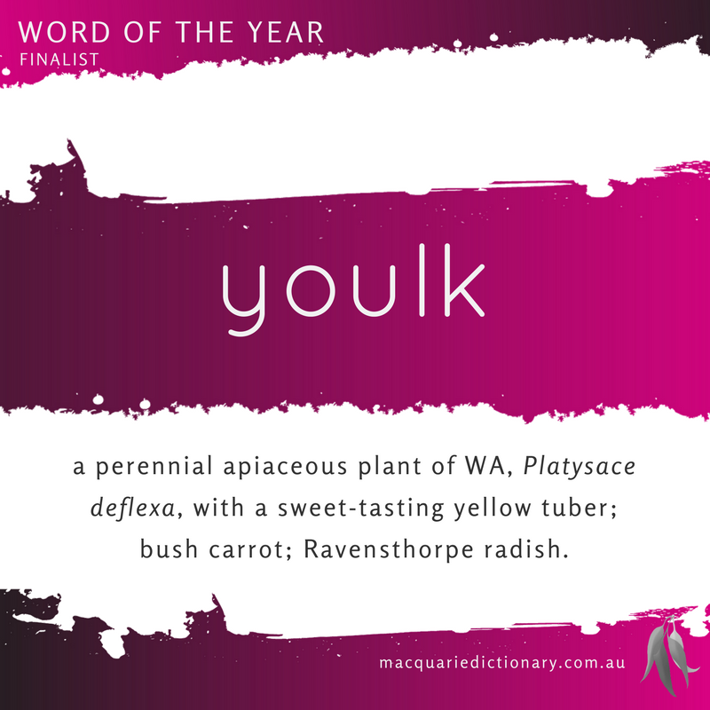 Macquarie Dictionary Word of the Year 2016 youlk