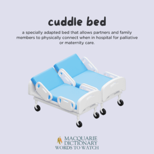 cuddle bed - a specially adapted bed that allows partners and family members to physically connect when in hospital for palliative or maternity care. 