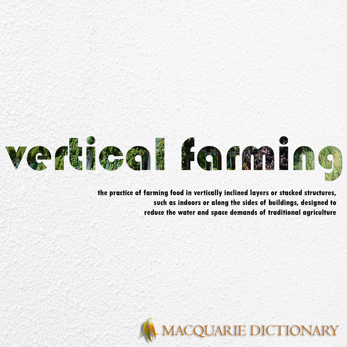 Image of Macquarie Dictionary Word of the Year - VAR - a person who reviews video footage of an on-field incident that resulted in a referee decision, the review being passed back to the referee who holds ultimate responsibility for maintaining or reversing their initial decision.